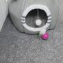 kitten accessories Image 3