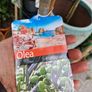 olive tree Image 2
