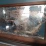 Antique/Vintage Oxidised wooden framed mirror Image 3