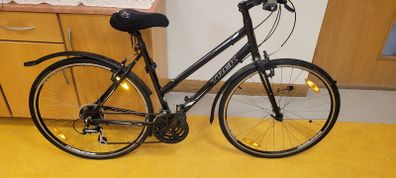 lady's trek bike 7.1
