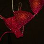 Competition Bikini Image 2