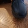 Horse riding boots Image 3