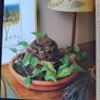Craft book - Water Fountains Image 3