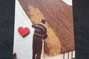 Ireland Postcard : Showing A Man Engaged In The Traditional Craft of Thatching