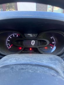 Opel viriao