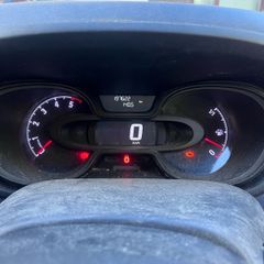 Opel viriao
