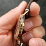 Vintage watch 1950s Swiss Image 3