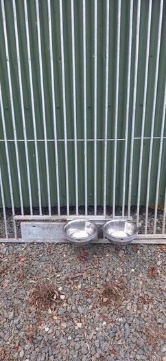 dog kennels