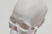 Coral Encrusted Skull 3D Printed
