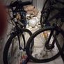 Cicle bikes Image 3