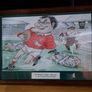 Rugby collection Image 4