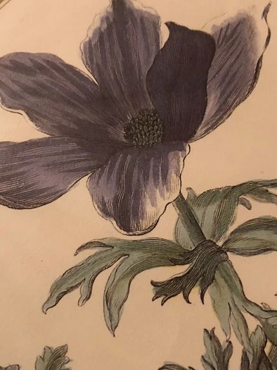 Vintage Anemone Botanical Print Framed - Nederlandsch Bloemwerk Cottagecore Art 12x15 inches