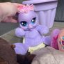 teddies Image 3