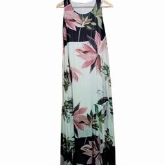 Lily print pleated chiffon maxi dress