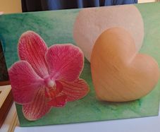 Orchid canvas