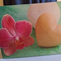 Orchid canvas