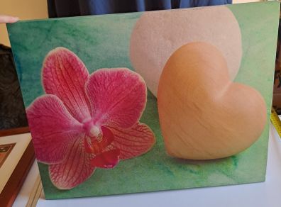 Orchid canvas