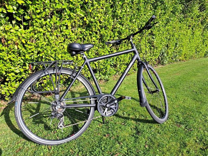 Raleigh Poineer Bicycle