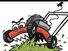Lawnmower & Small Engine Repairs Image 2