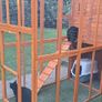 Cat pet pen Image 3