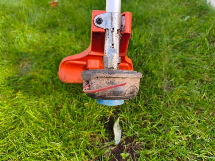 Grass strimmer
