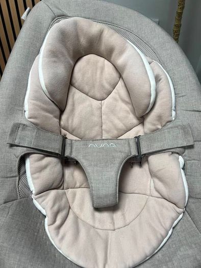 Nuna leaf bouncer