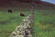Yeats' Landscapes: Travels with Yeats HB - Virginie Amant