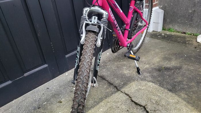 Older Childs/Teenager/Small Lady Bicycle
