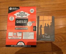 Leaving cert Irish