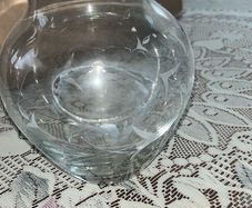 plant bamboo with free orbies and glass vase