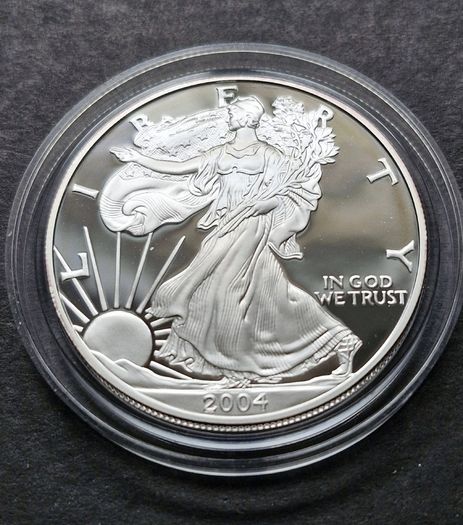 2004 - W American 1 oz Silver Eagle DCAM Proof coin