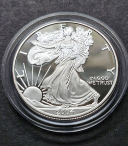2004 - W American 1 oz Silver Eagle DCAM Proof coin