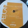 Pelican - Forever Becoming Image 6