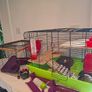 Hamster Cage and Accessories Bundle Image 2