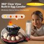 Egg Incubators for Hatching Eggs, Incubator for 12 Eggs with Automatic Turning & Auto Water Filling, Temperature & Humidity Control, Egg Incubator for Chicken, Quails, Ducks, Goose, Pigeon, Parrot Image 8