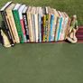 Chess Books Image 2