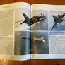 War  book: 'Forces '86' Image 8