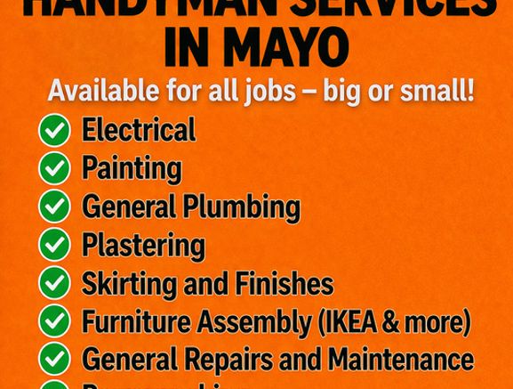 Qualified Electrician and Experienced Handyman