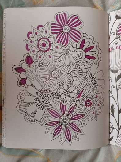 Therapeutic Colouring Books x 2