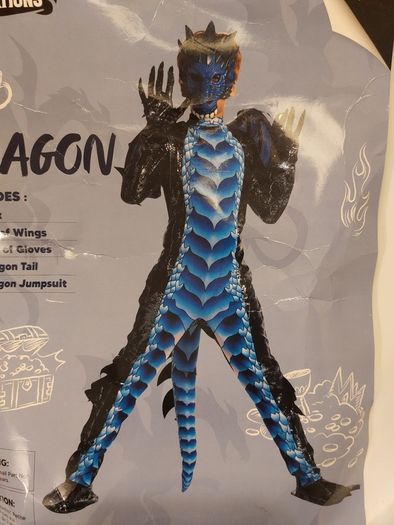 Dragon costume