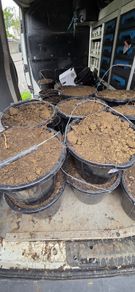 30 Buckets of good soil