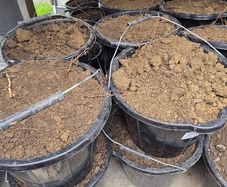 30 Buckets of good soil