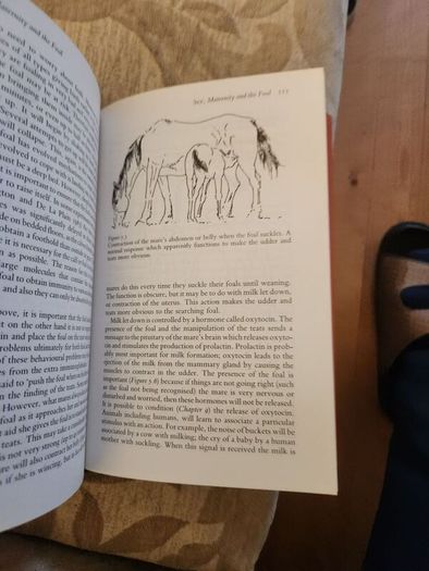 The Behaviour Of Horses. In Relation To Managment And Training.  By Dr Marthe Kiley-worthington. First Edition Hardback With Dustjacket In Good Condition.