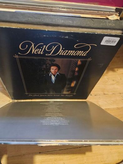 Job Lot of Vinyl Records Easy Listening