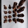 The Regency Company Lotus Flower Carved Chess pieces made of Sheesham Image 6