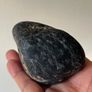 Collectable Fossil coral stones Image 7