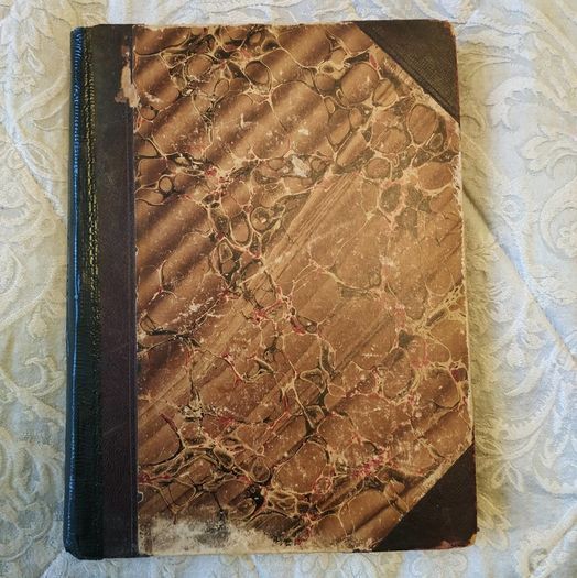 Antique Book: Mother's Companion from 1889