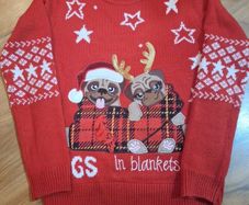 Christmas jumper age 13(Next)