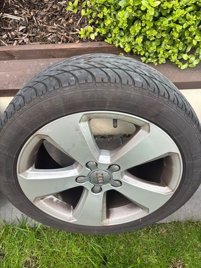 audi alloys