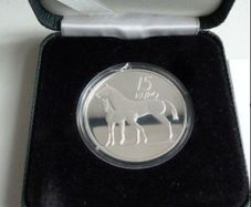 Irish Silver Proof 15 Euro